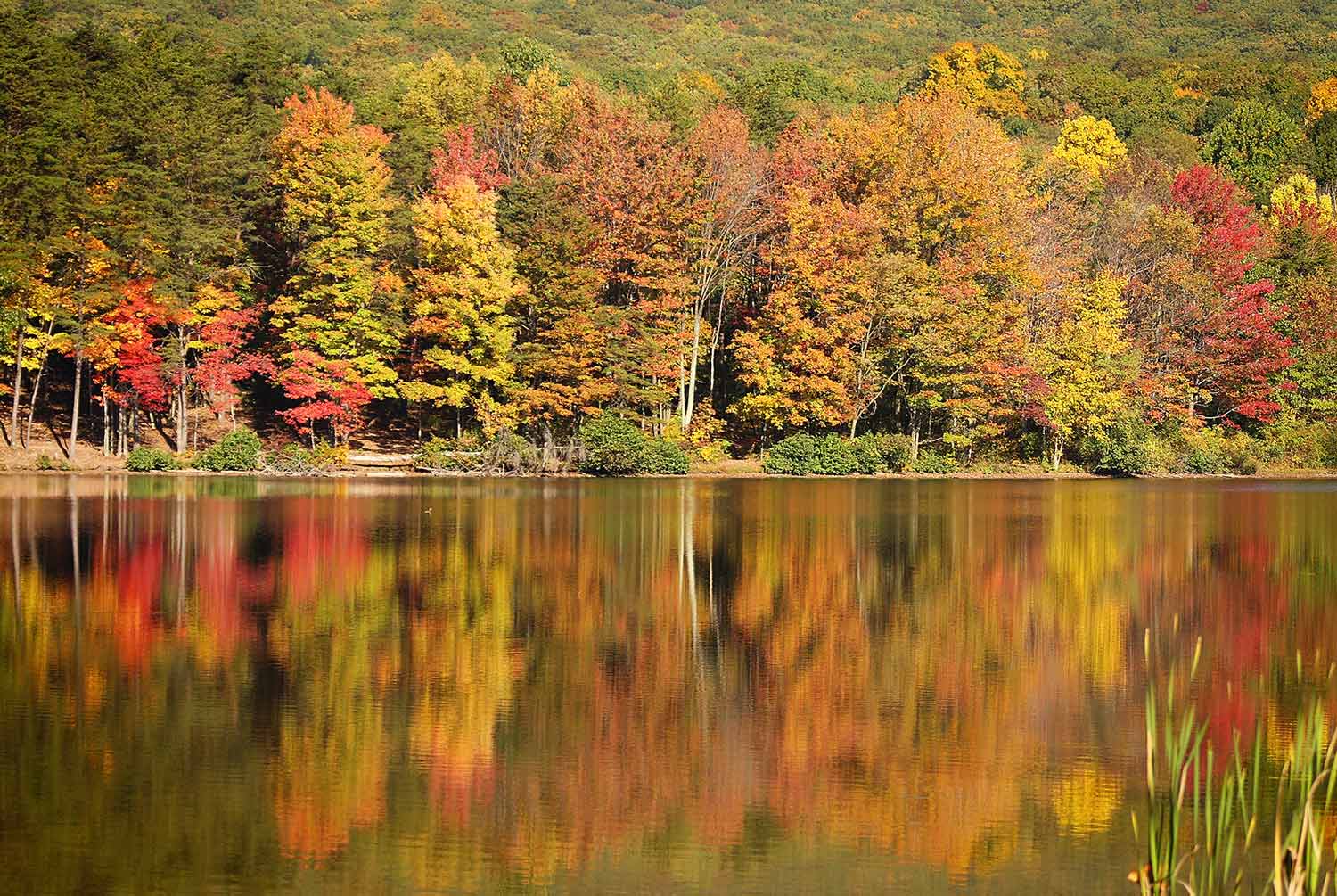 Allegany County in Fall